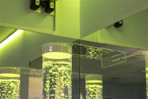 Bubble Tube Security Bracket